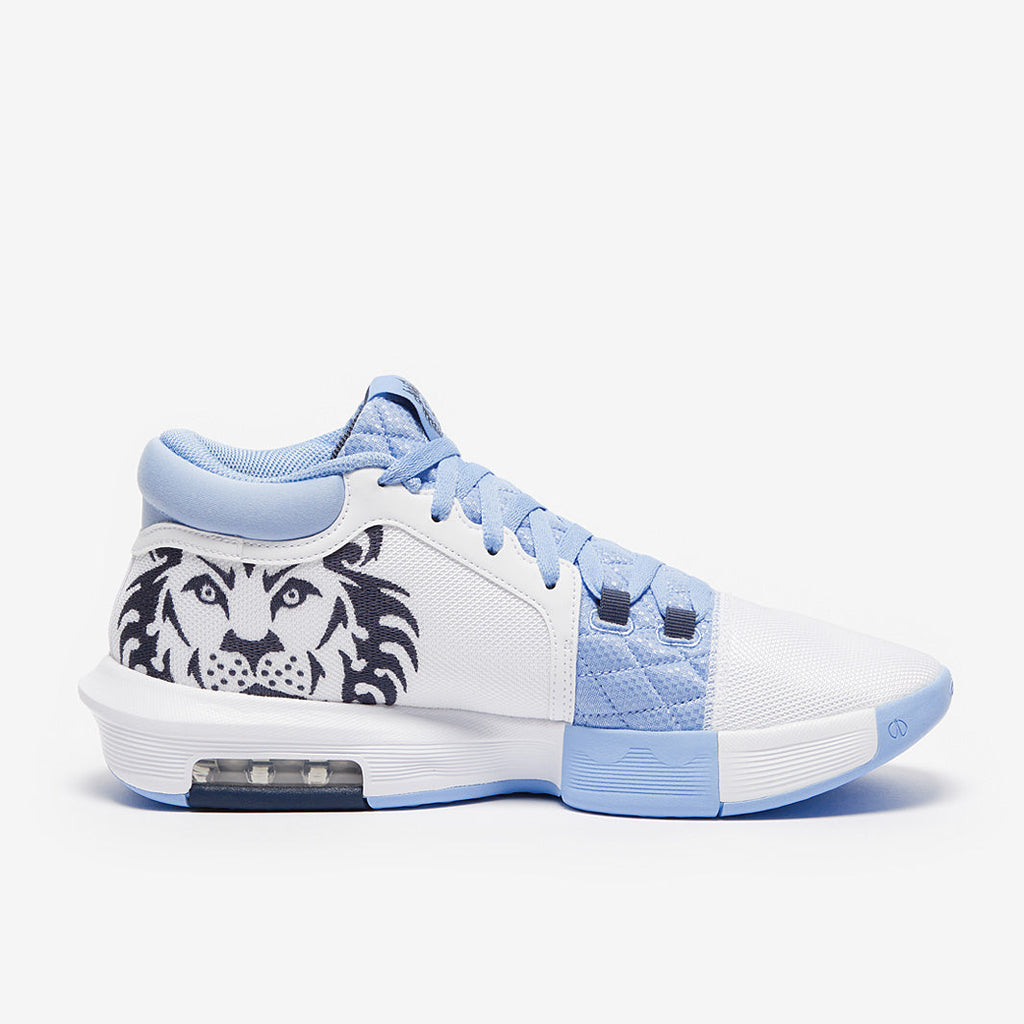 Nike Lebron Witness 8