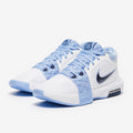 Nike Lebron Witness 8