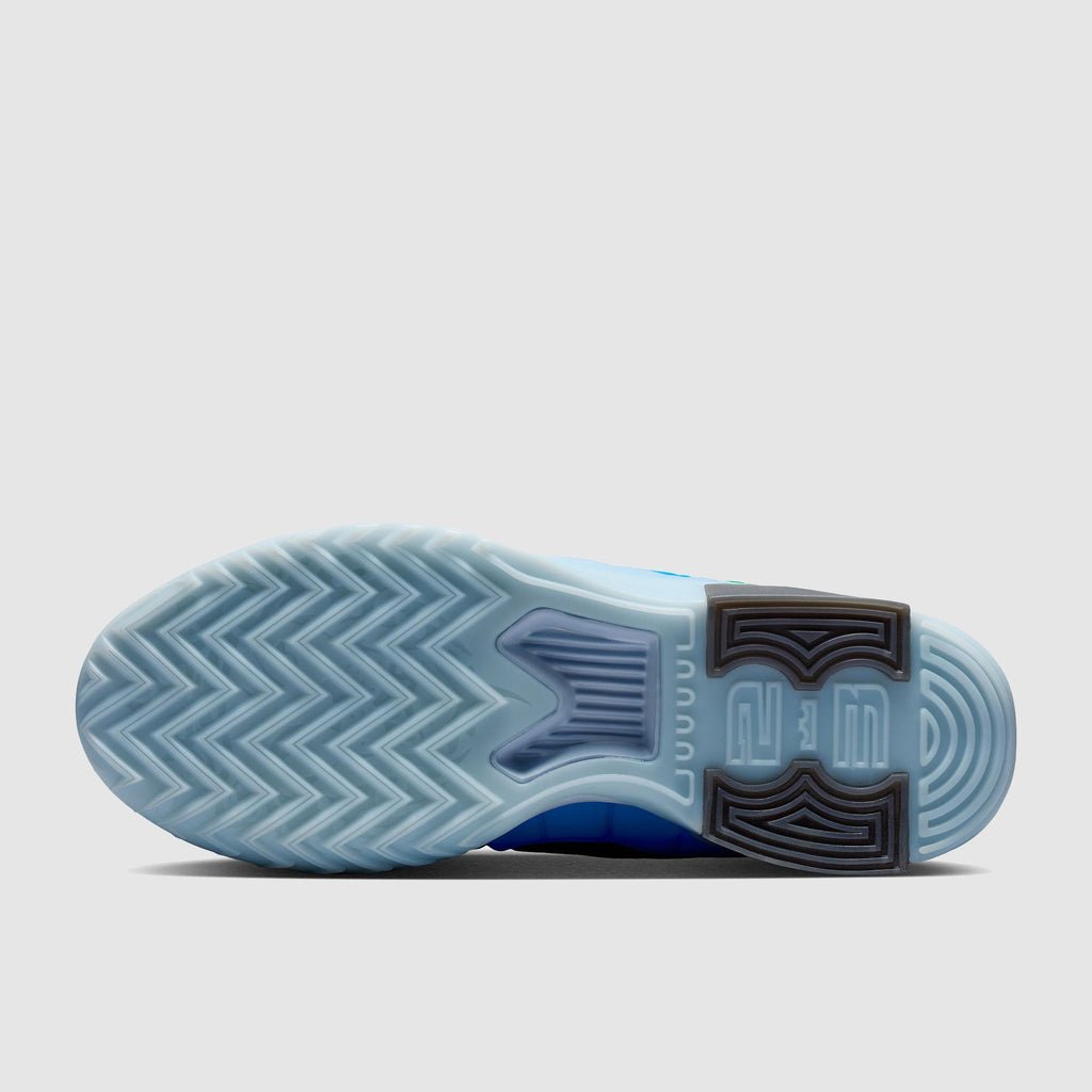 Nike LeBron Witness IX