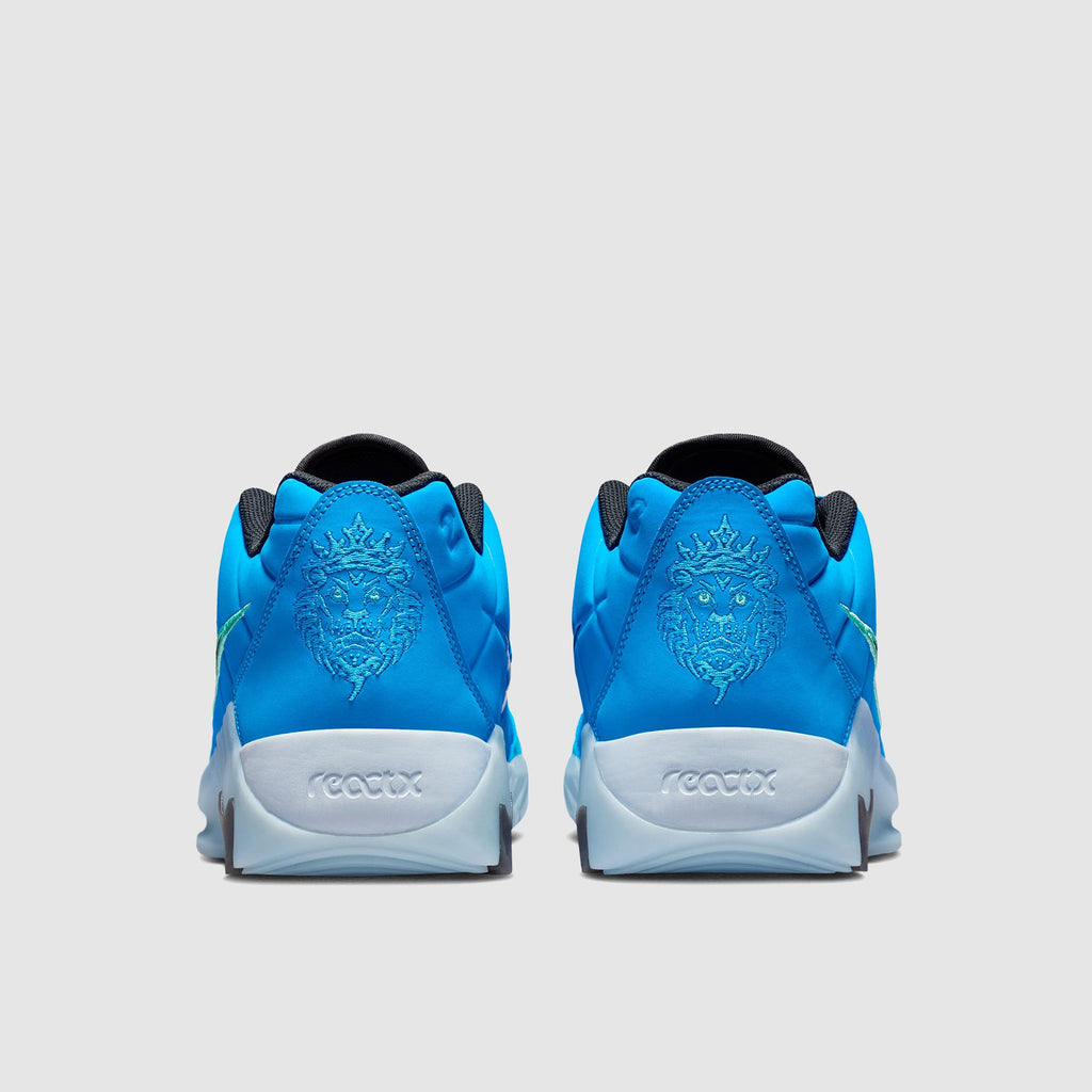 Nike LeBron Witness IX