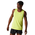 Core Singlet