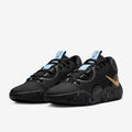 Nike PG6