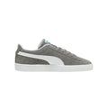 Suede Classic Cast Iron Shoes
