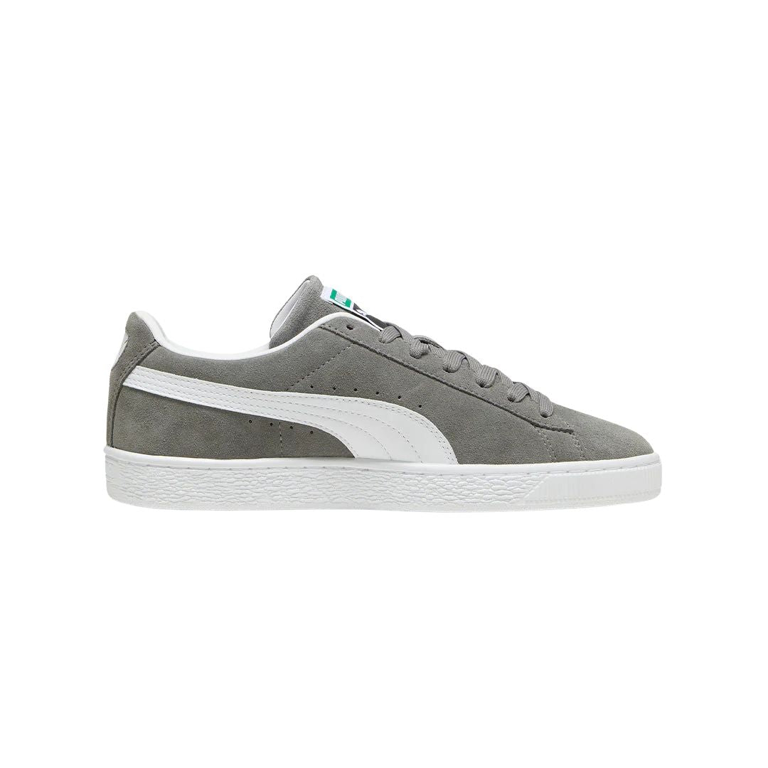 Suede Classic Cast Iron Shoes
