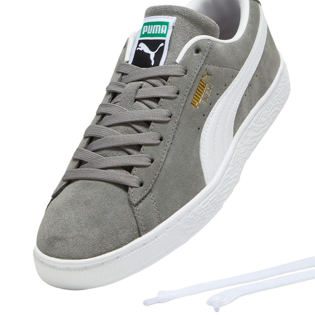 Suede Classic Cast Iron Shoes