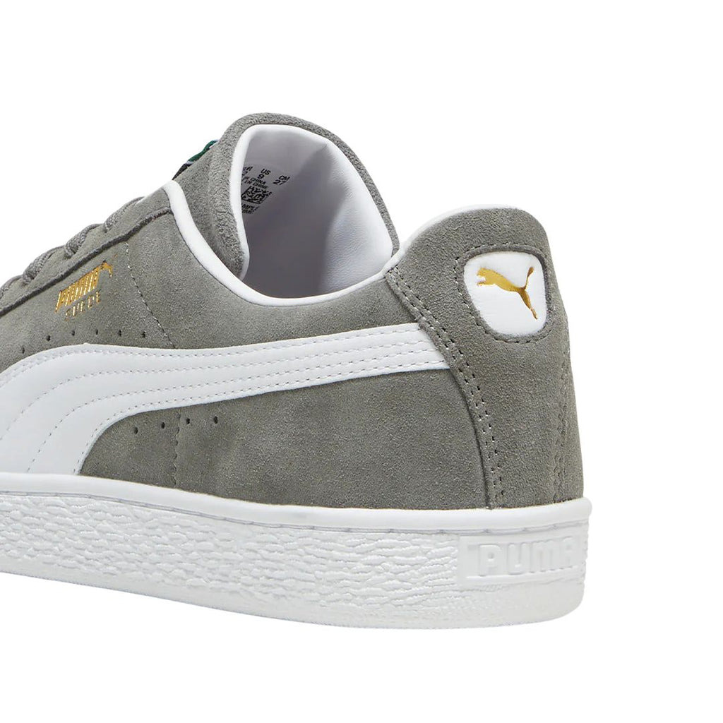 Suede Classic Cast Iron Shoes