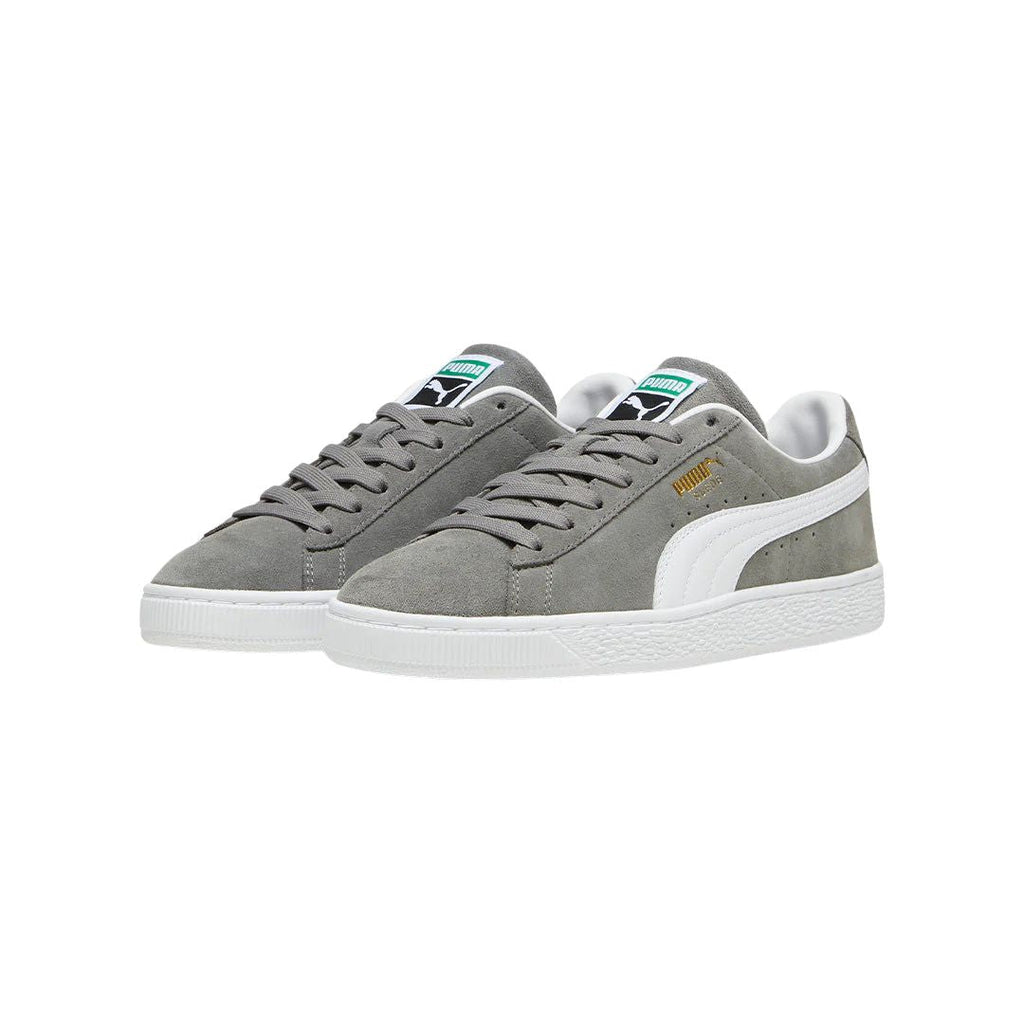 Suede Classic Cast Iron Shoes