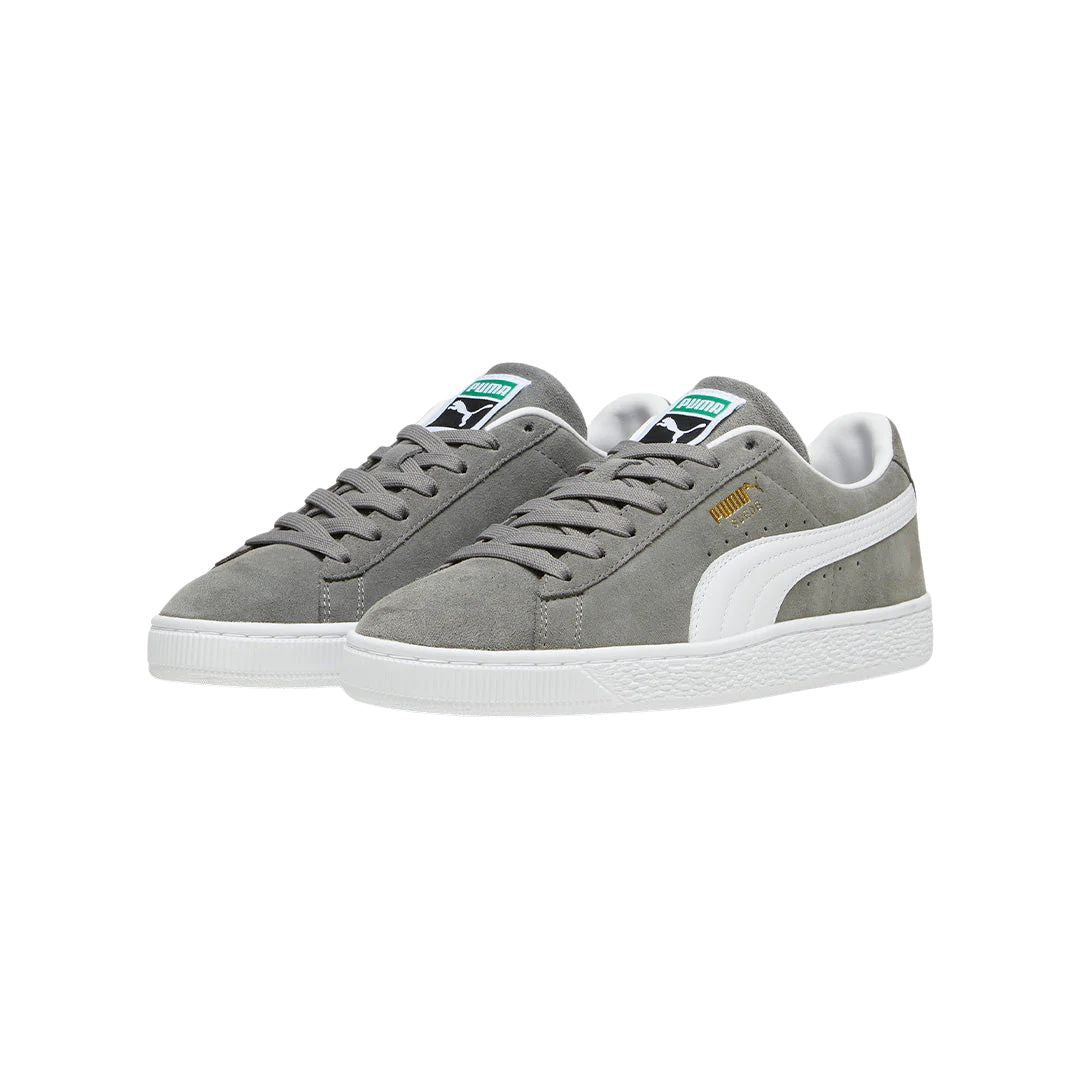 Suede Classic Cast Iron Shoes
