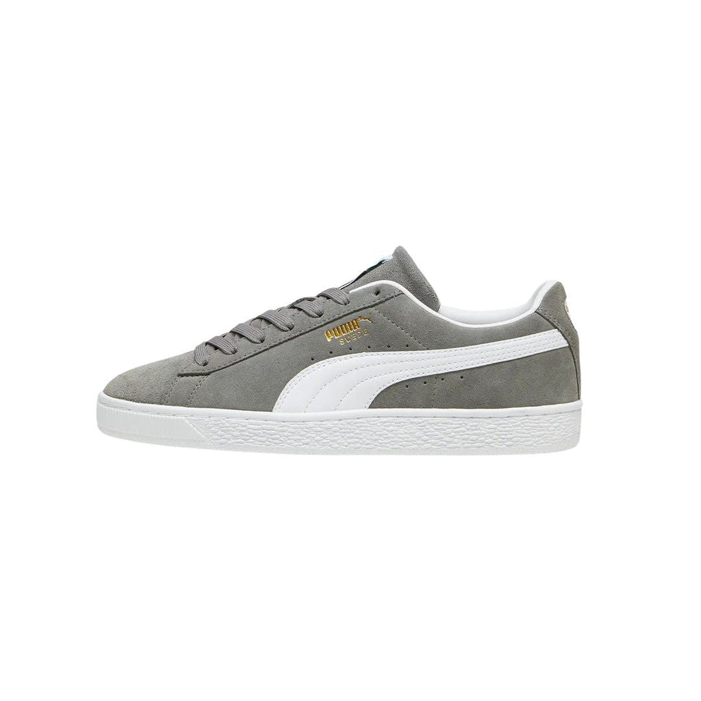 Suede Classic Cast Iron Shoes