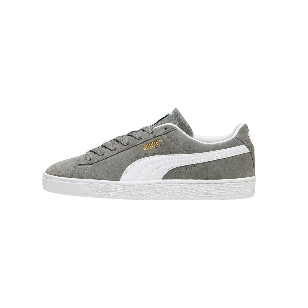 Suede Classic Cast Iron Shoes