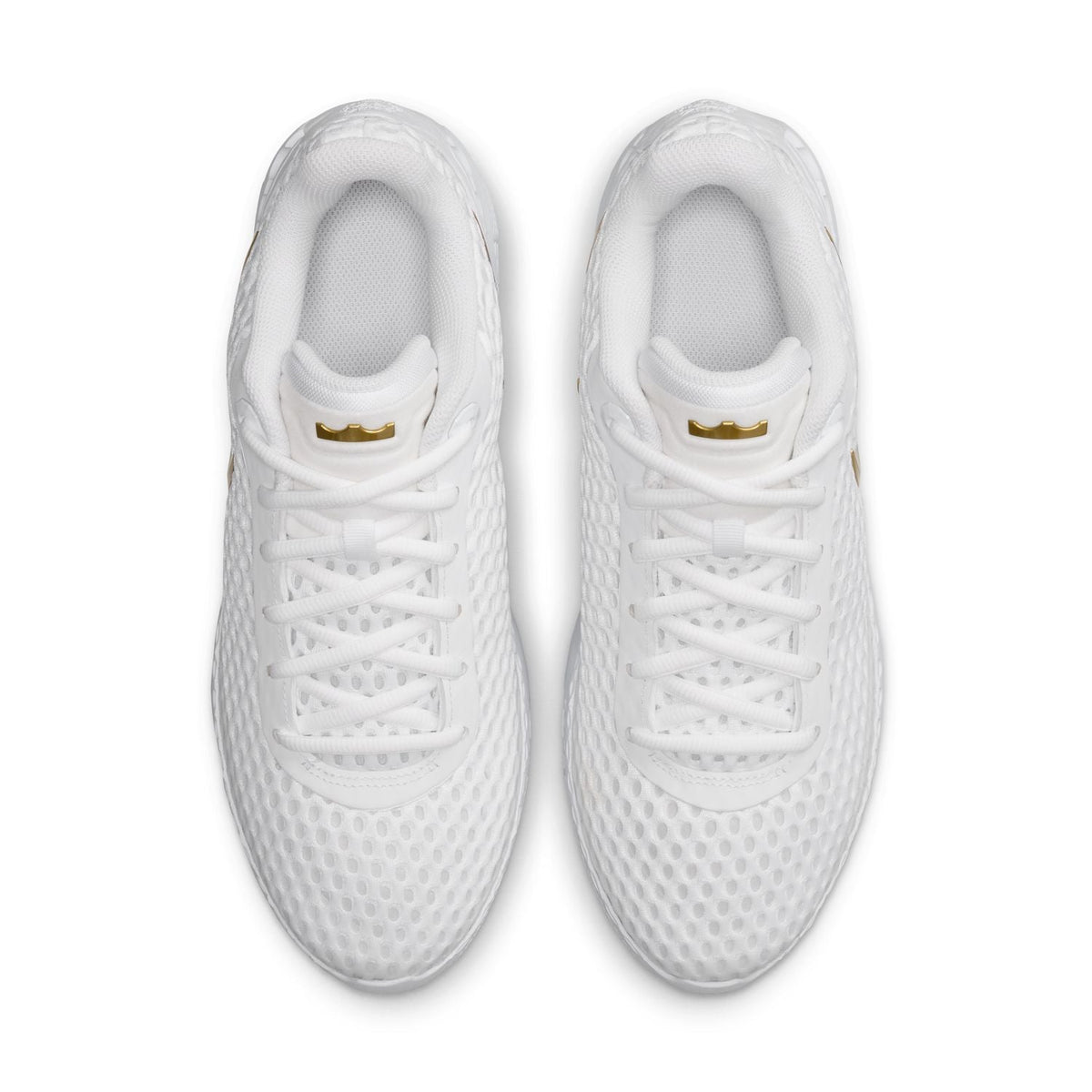 LeBron Witness X EP 'White Metallic Gold'