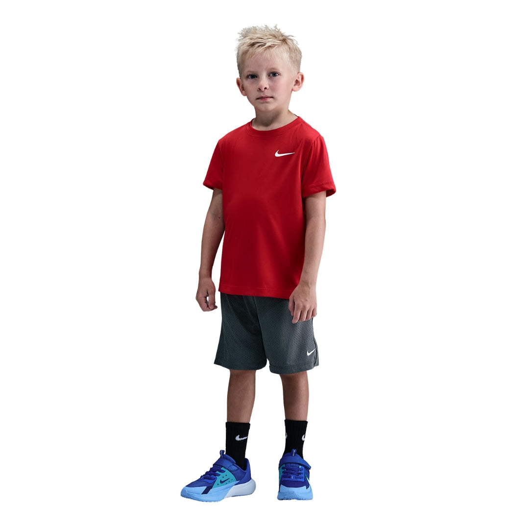 Dri-FIT Multi Mesh Shorts