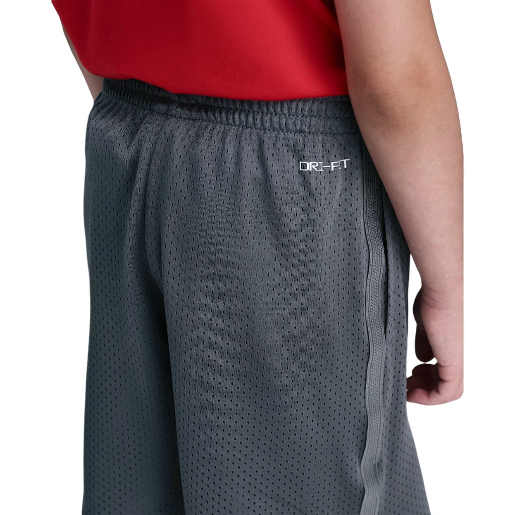 Dri-FIT Multi Mesh Shorts
