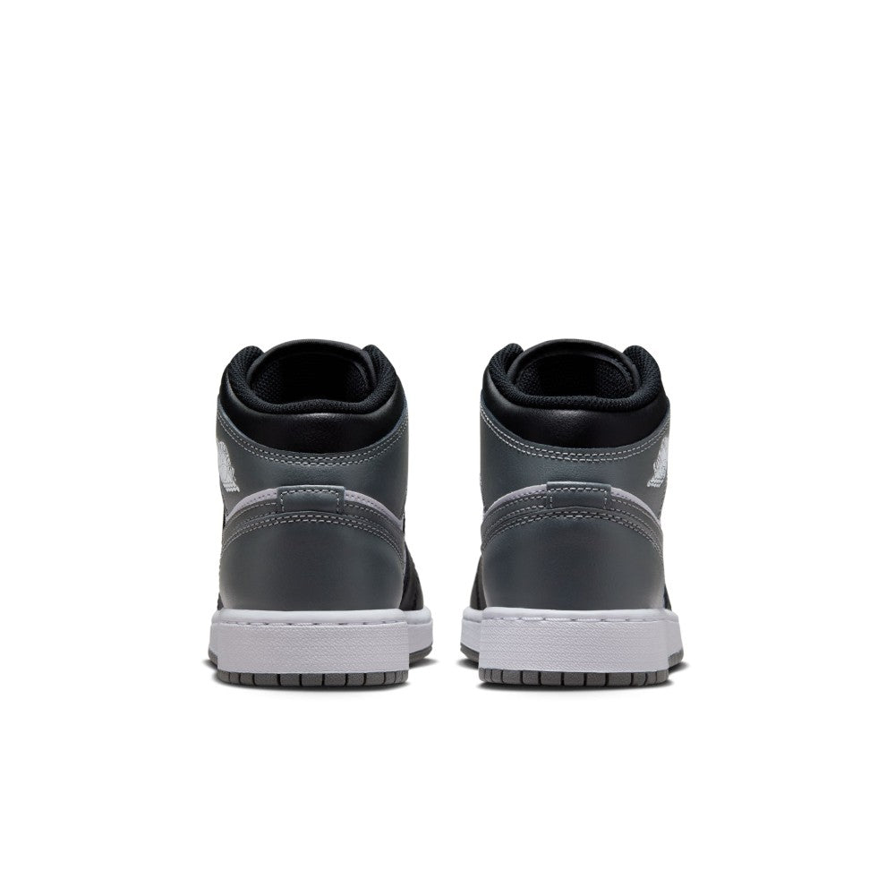 Air Jordan 1 Mid Lifestyle Shoes