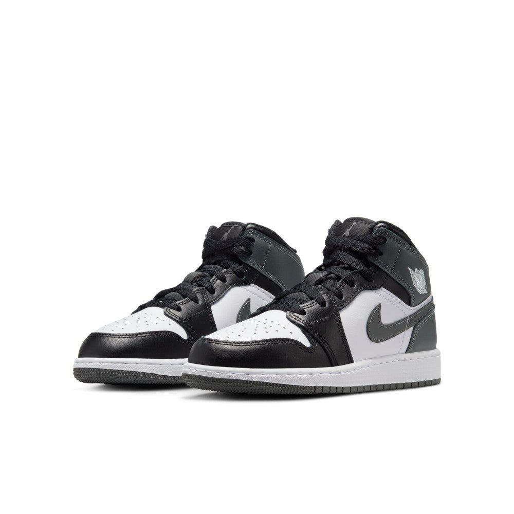 Air Jordan 1 Mid Lifestyle Shoes