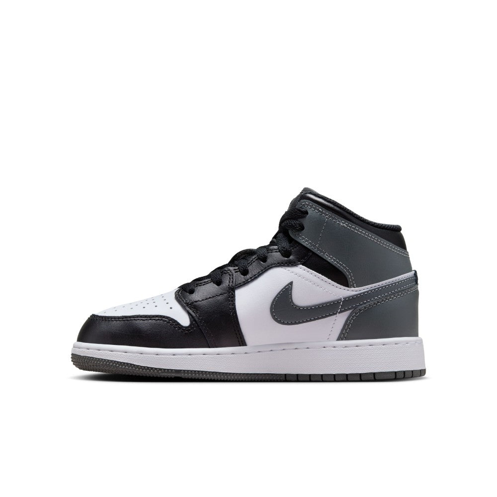 Air Jordan 1 Mid Lifestyle Shoes