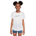 One Fitted Dri-Fit T-shirt