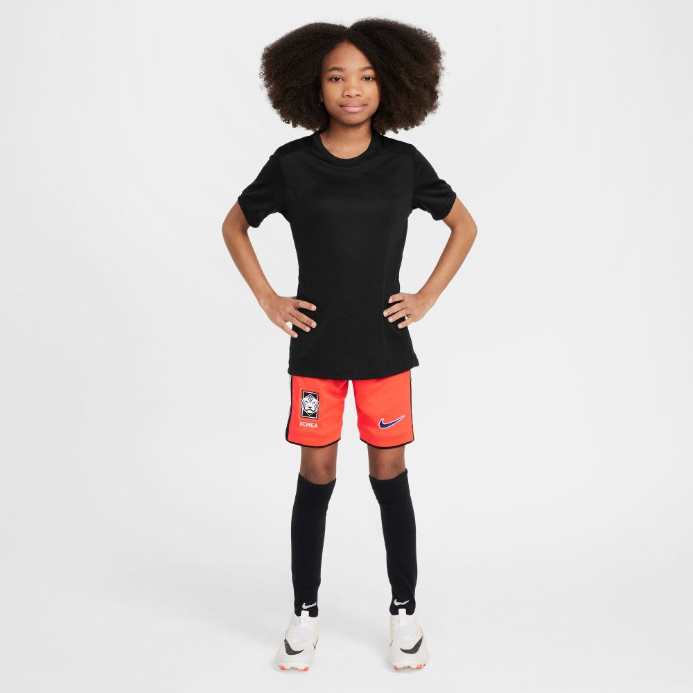 Academy Big Dri-FIT Soccer Top