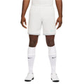 Academy Dri-FIT Football Shorts