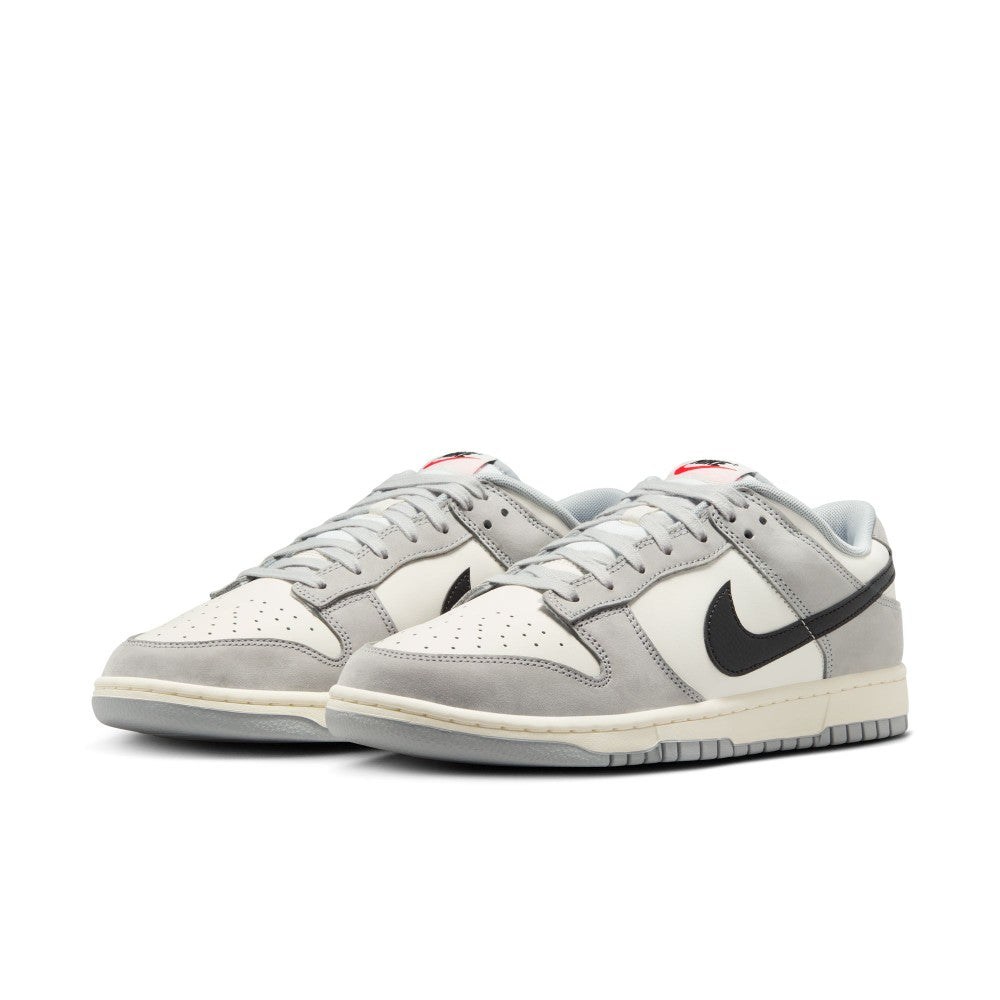 Dunk Low Sc Lifestyle Shoes