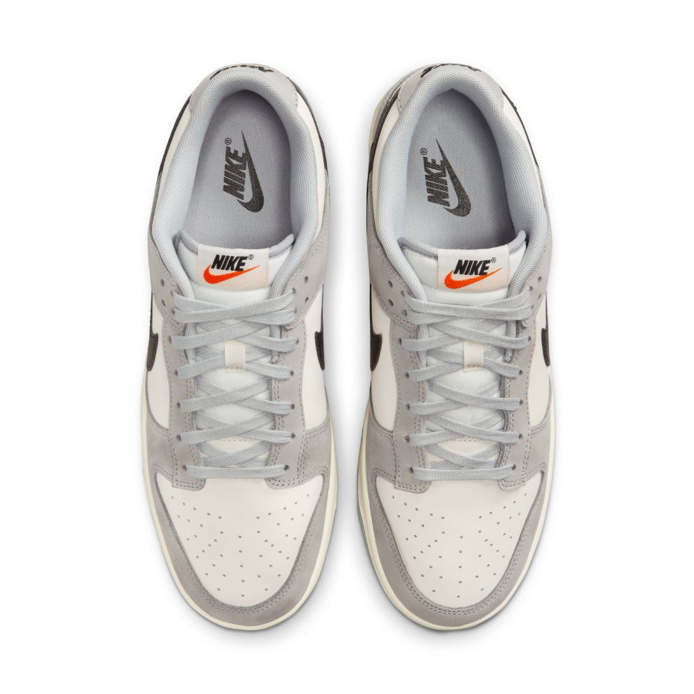 Dunk Low Sc Lifestyle Shoes