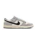 Dunk Low Sc Lifestyle Shoes