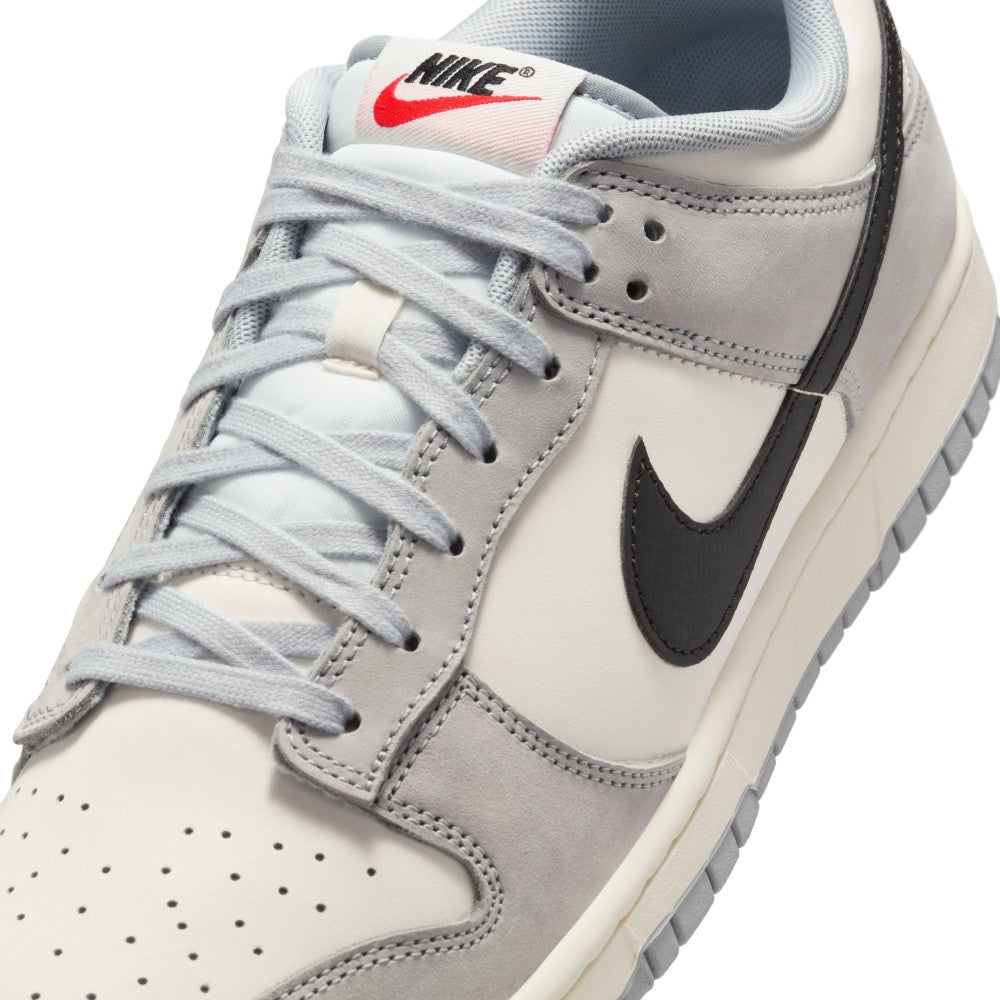 Dunk Low Sc Lifestyle Shoes