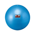 Gym Ball / Swiss Ball (65Cm)