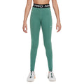 Pro Dri-FIT Leggings