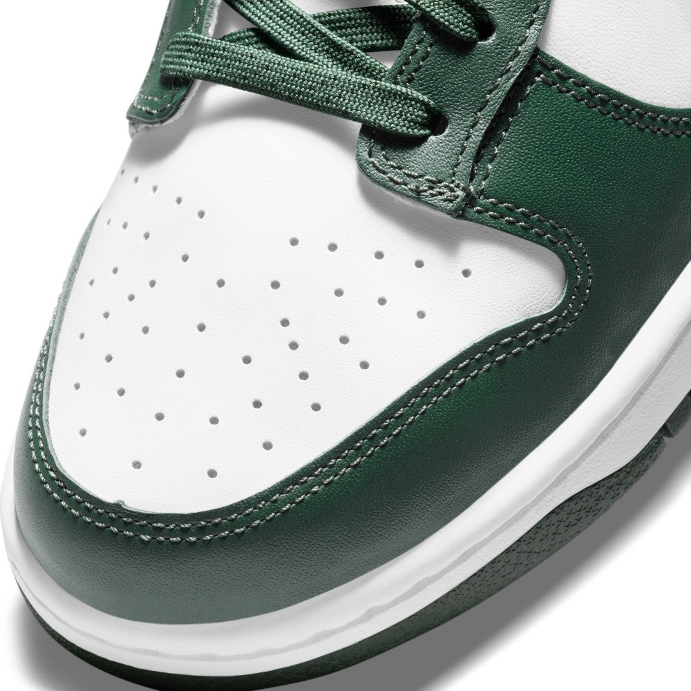 Dunk Low Retro Lifestyle Shoes