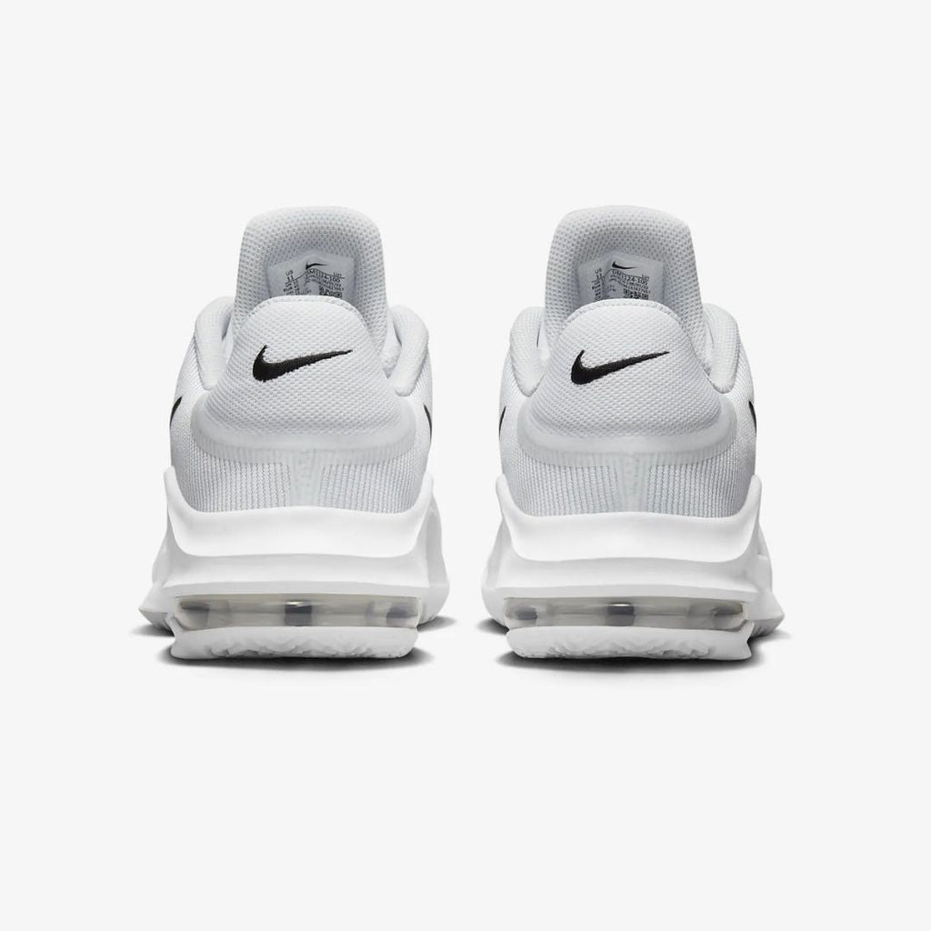 Air Max Impact 4 Basketball Shoes