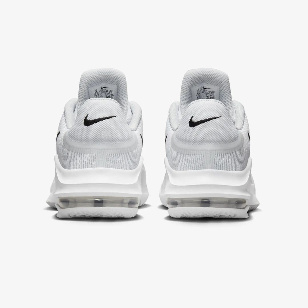 Air Max Impact 4 Basketball Shoes