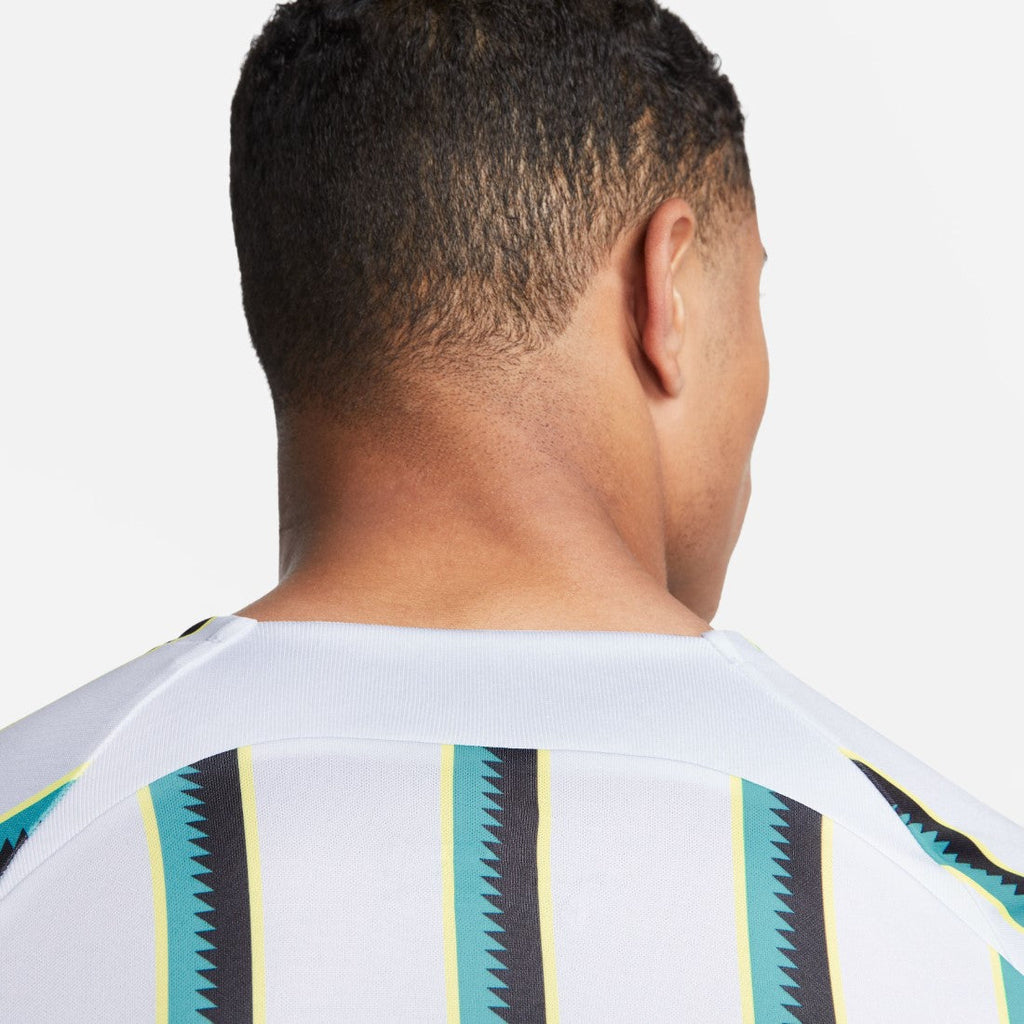 Dri-FIT Academy Pro T-shirt