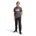 Woven Tracksuit Pants
