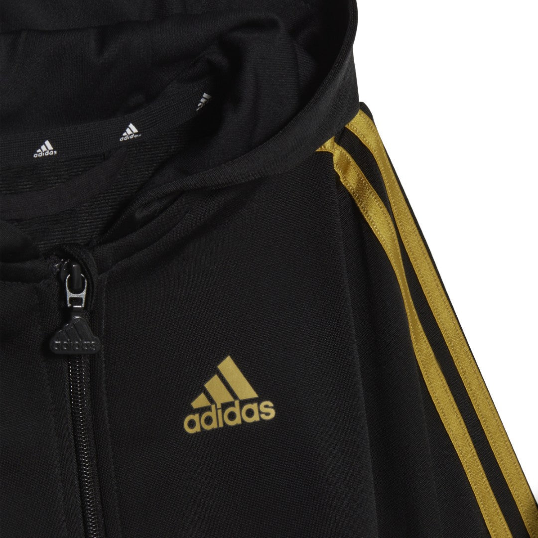 Essentials Shiny Hooded Track Suit