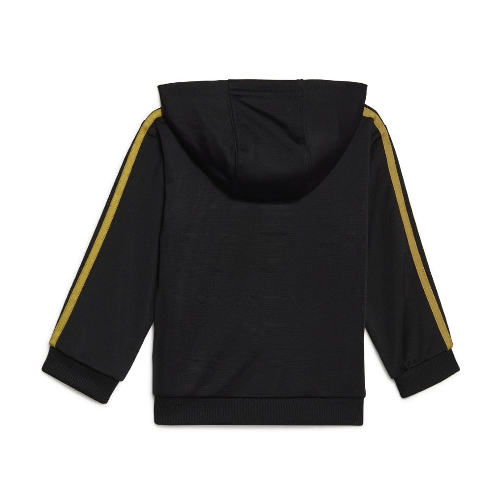 Essentials Shiny Hooded Track Suit