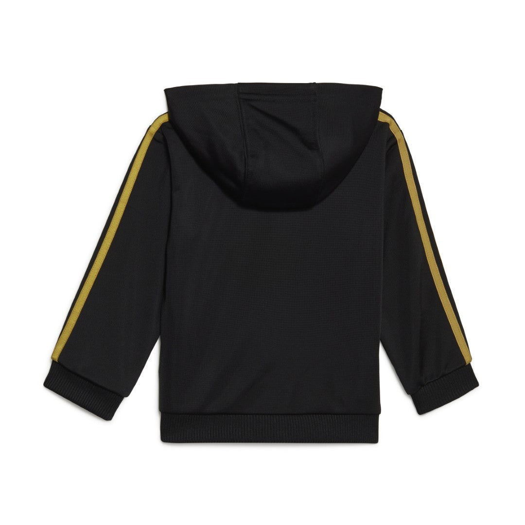 Essentials Shiny Hooded Track Suit