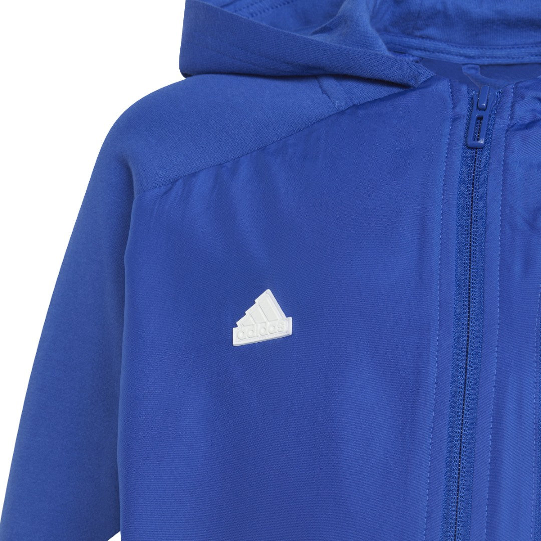 Designed For Gameday Full-Zip Sweatshirt