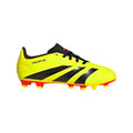 Predator Club Flexible Ground  Shoes