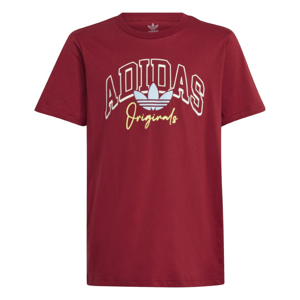 Collegiate Graphic Pack Bf T-Shirt