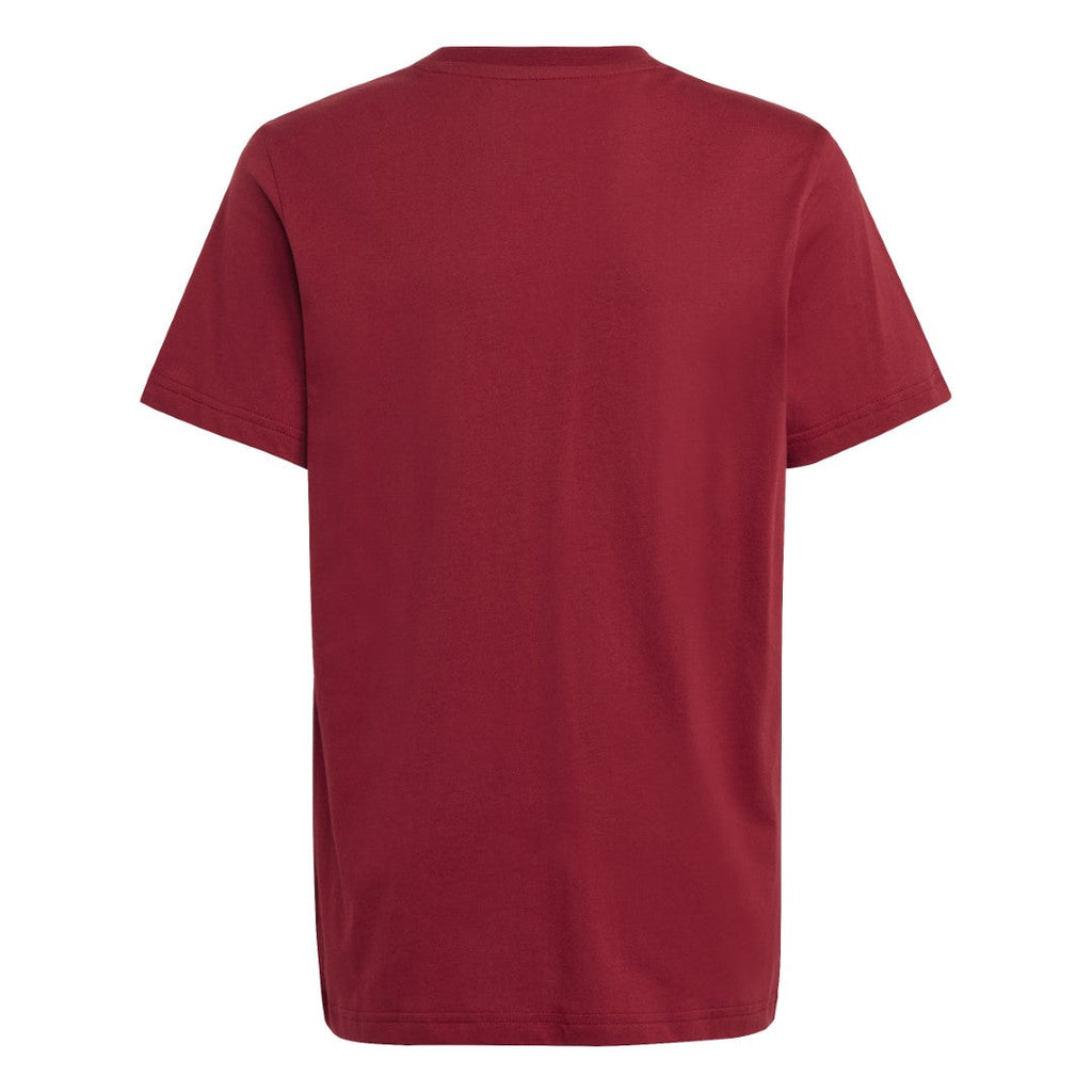 Collegiate Graphic Pack Bf T-Shirt