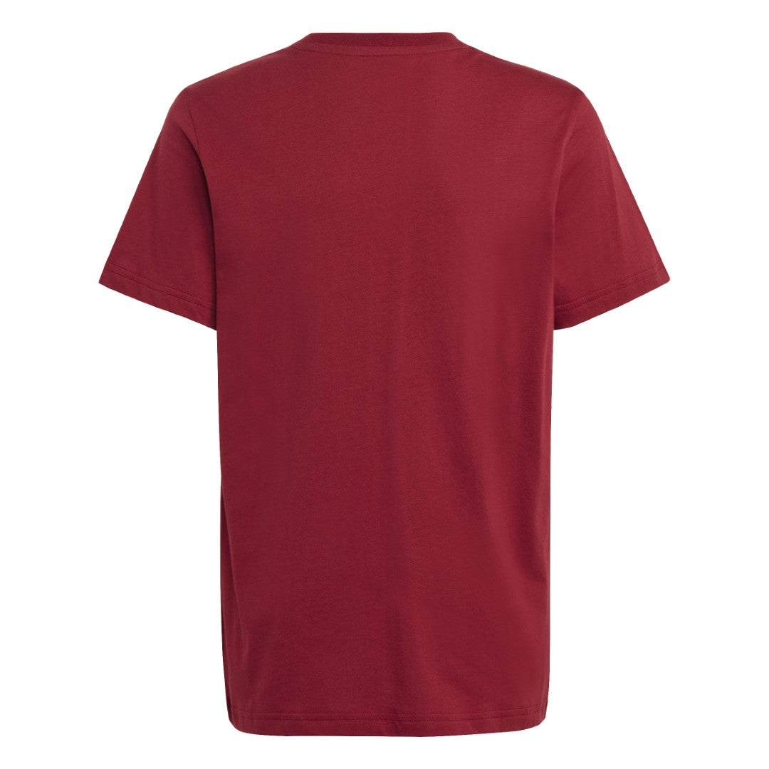 Collegiate Graphic Pack Bf T-Shirt