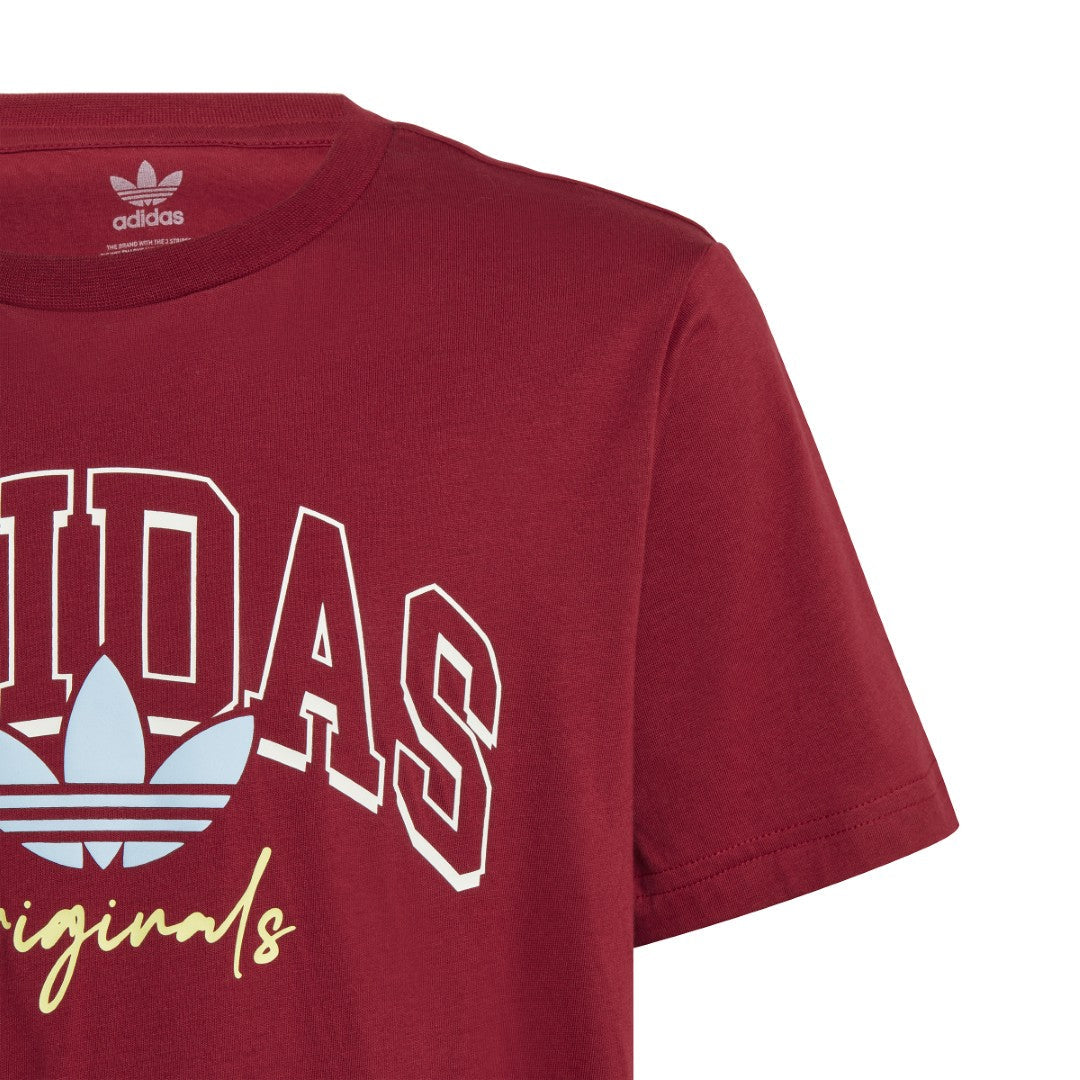 Collegiate Graphic Pack Bf T-Shirt