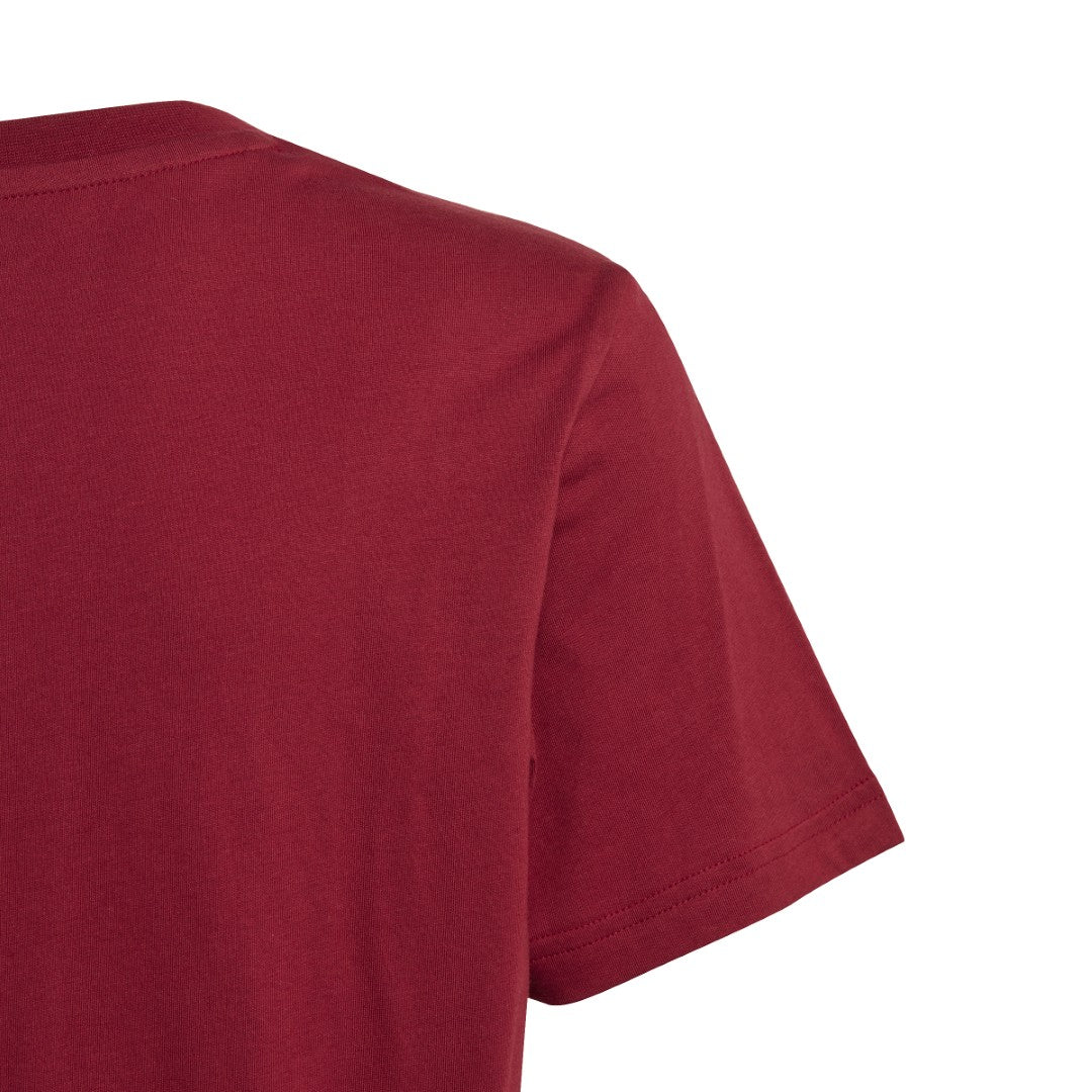 Collegiate Graphic Pack Bf T-Shirt