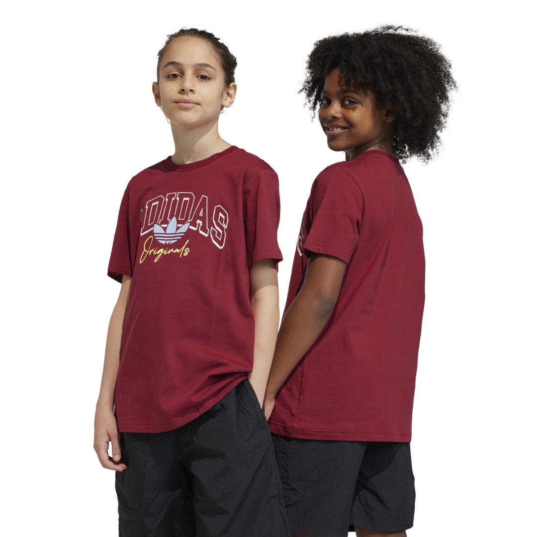 Collegiate Graphic Pack Bf T-Shirt