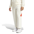 Future Icons Badge Of Sport 7/8 Pants