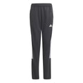 Tiro Pants