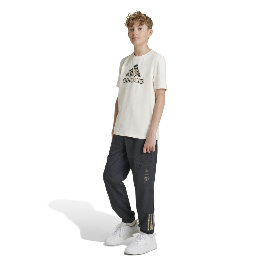 Disney Lion King Pants