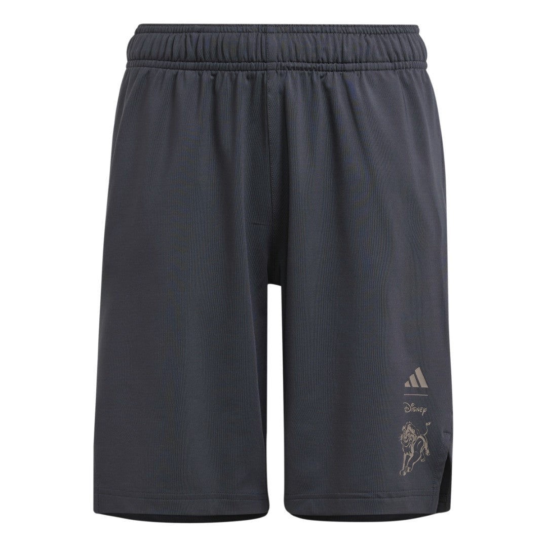 Disney Lion King Shorts