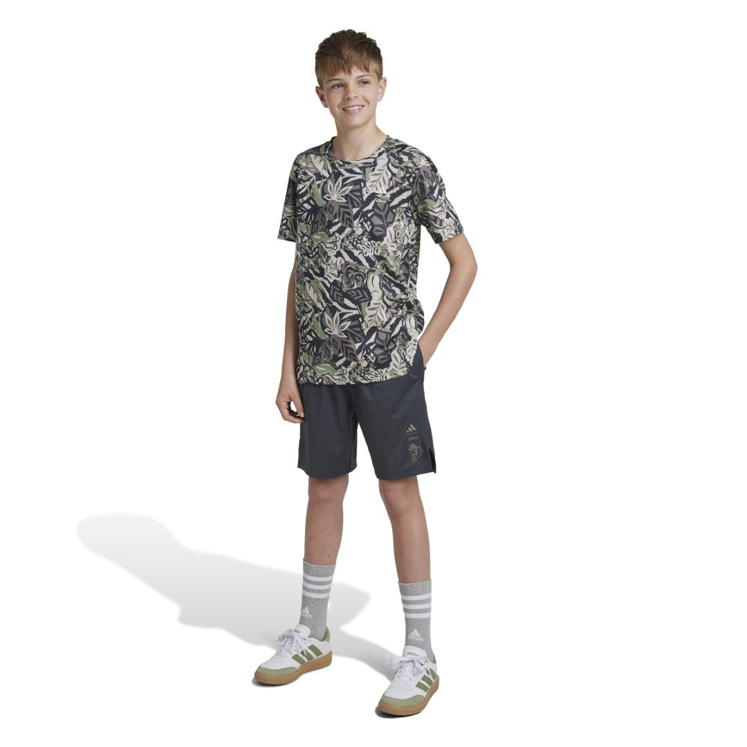 Disney Lion King Shorts